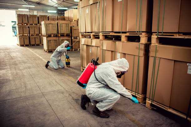 Trusted Shepherdstown, WV Pest Control Experts