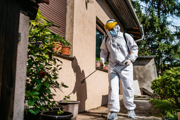 Best Exterminator Services  in Shepherdstown, WV