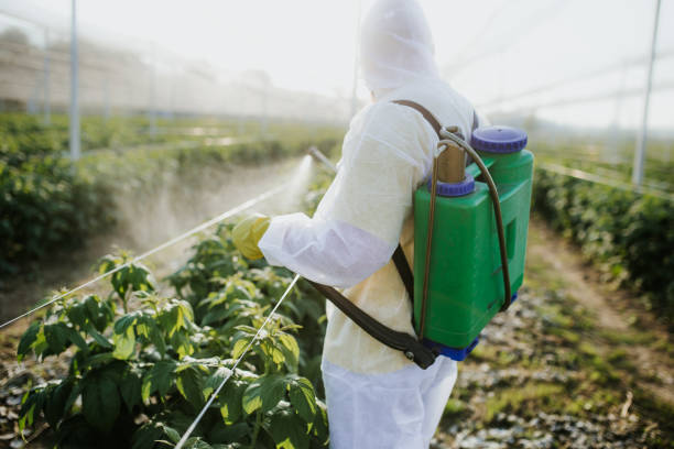 Pest Prevention Services in Shepherdstown, WV